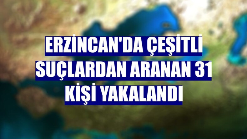 Erzincan’da 31 kişi çeşitli suçlardan gözaltına alındı