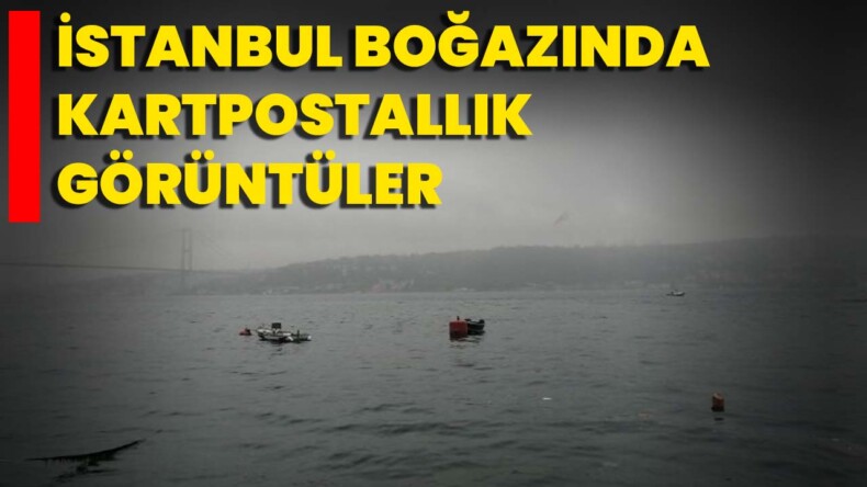 İstanbul Boğazında Kartpostallık Görüntüler – Afyon Haber Odak Gazetesi Son Dakika Afyonkarahisar Güncel Haberleri